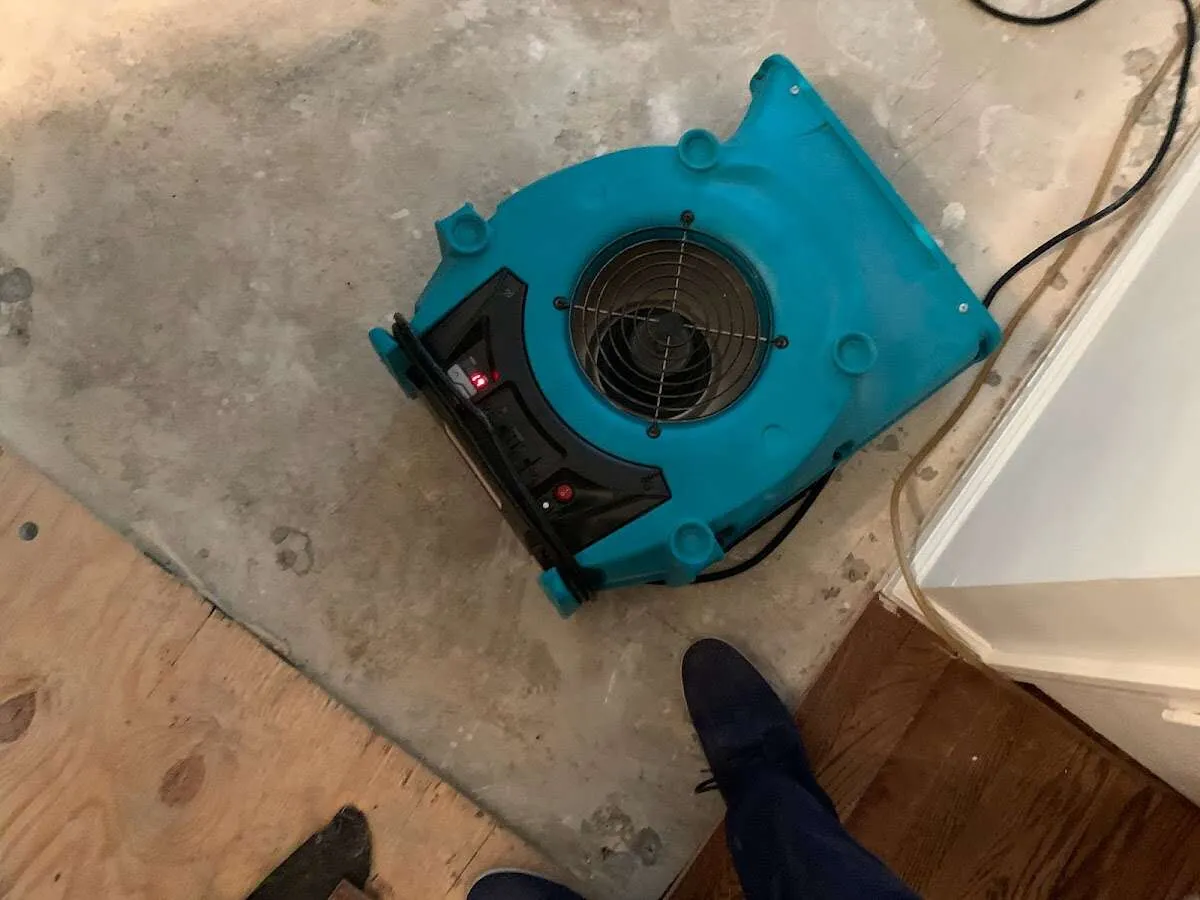 Air mover drying subfloor during Leak Detection & Repair in Belfast