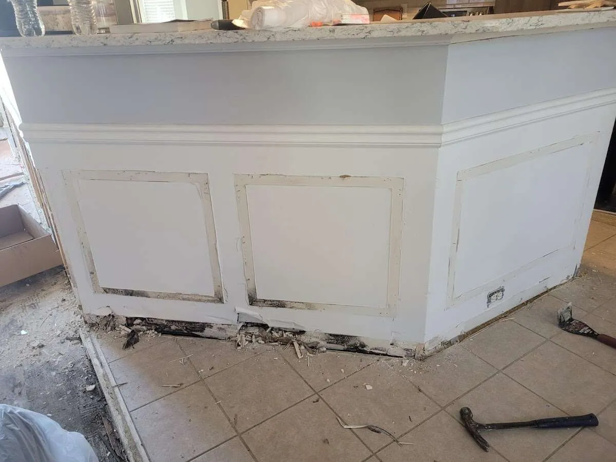 Water damage and mold on kitchen during Sewage Cleanup & Sanitation in Belfast